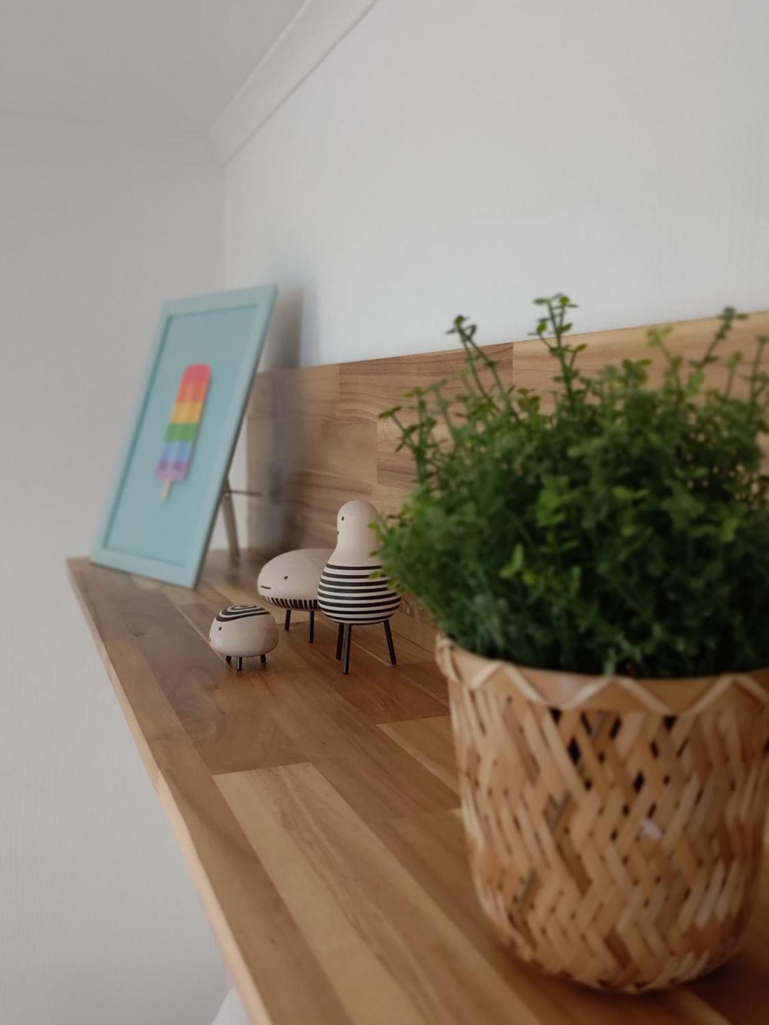 Appartementen Dorp & Duin Egmond aan Zee Kültér fotó